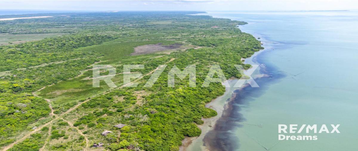 Foto de terreno habitacional en venta en cabo rojo , cabo rojo (novillos) [ganadera], tampico alto, veracruz de ignacio de la llave, 0 No. 04